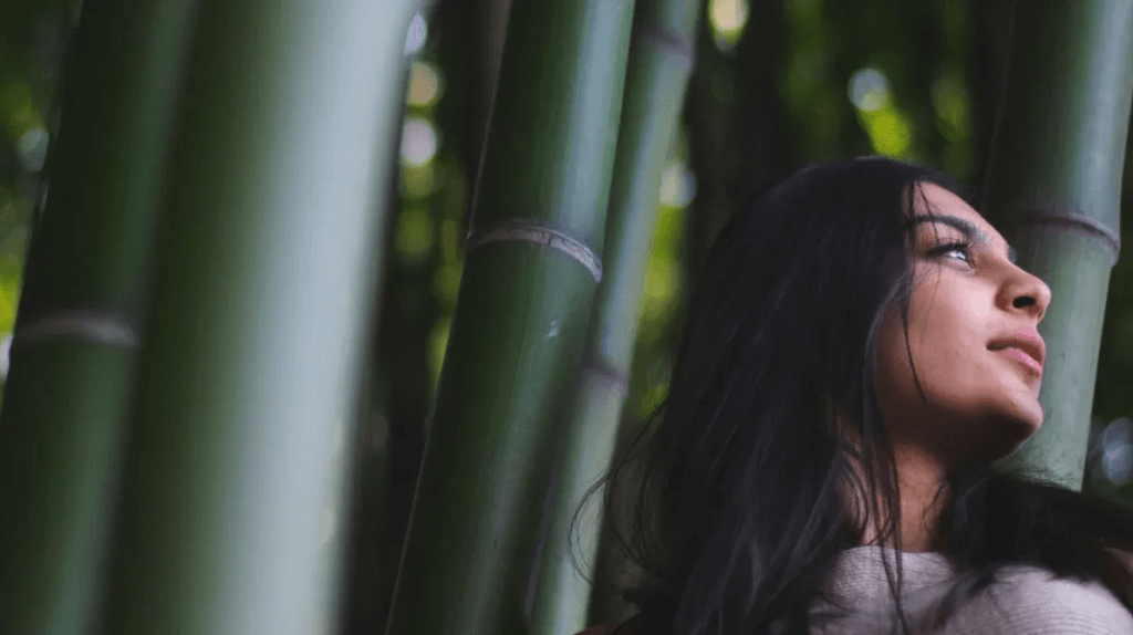 bamboo fabric material clothes for women