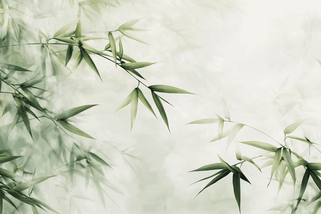 What’s the Deal with Bamboo Fibre? Unraveling the Green Thread Mystery!